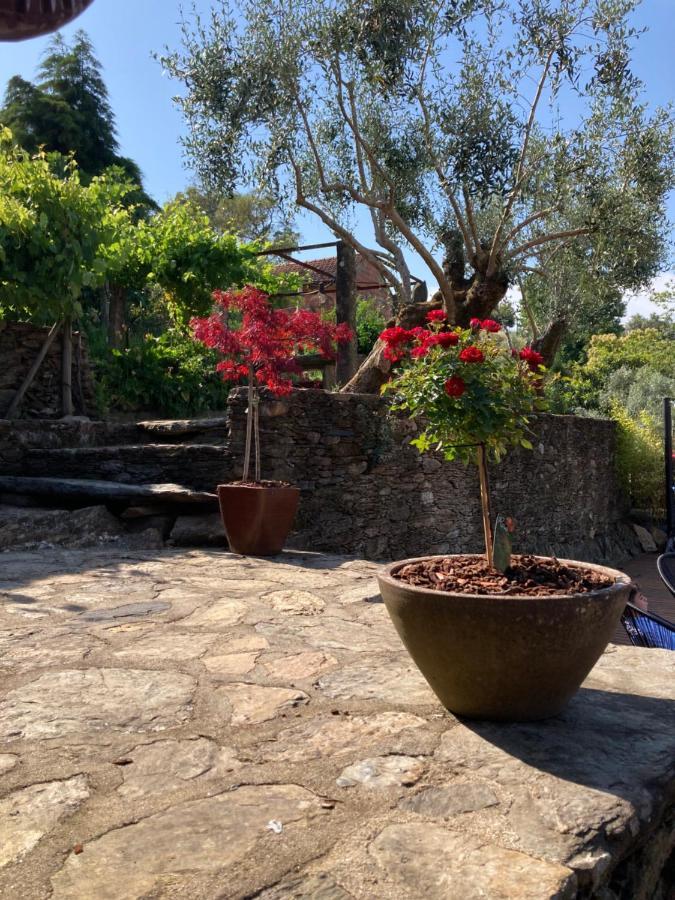 Casa Lia Da Porta Villa Caminha Buitenkant foto