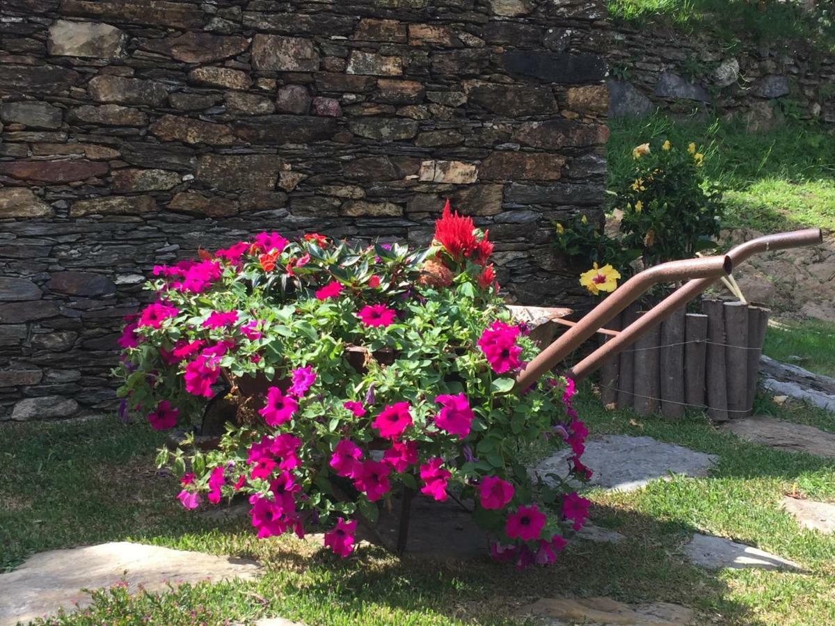 Casa Lia Da Porta Villa Caminha Buitenkant foto
