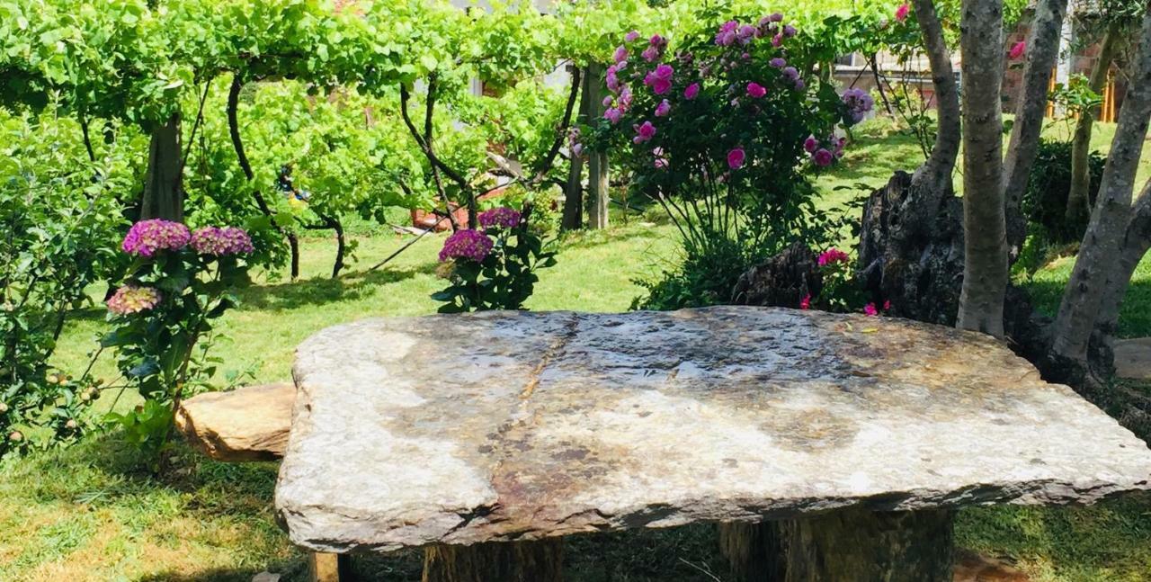 Casa Lia Da Porta Villa Caminha Buitenkant foto